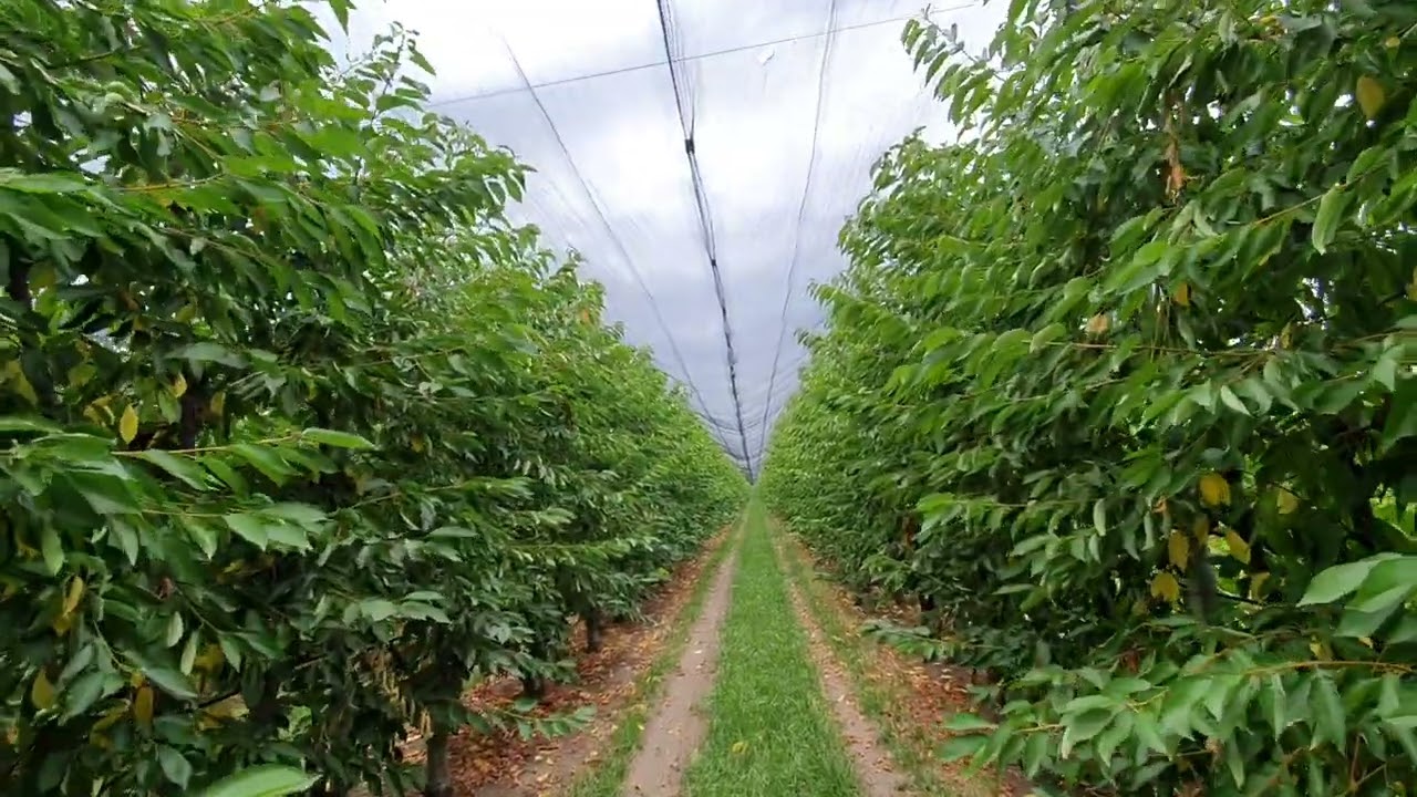 A csapadék se mindig öröm