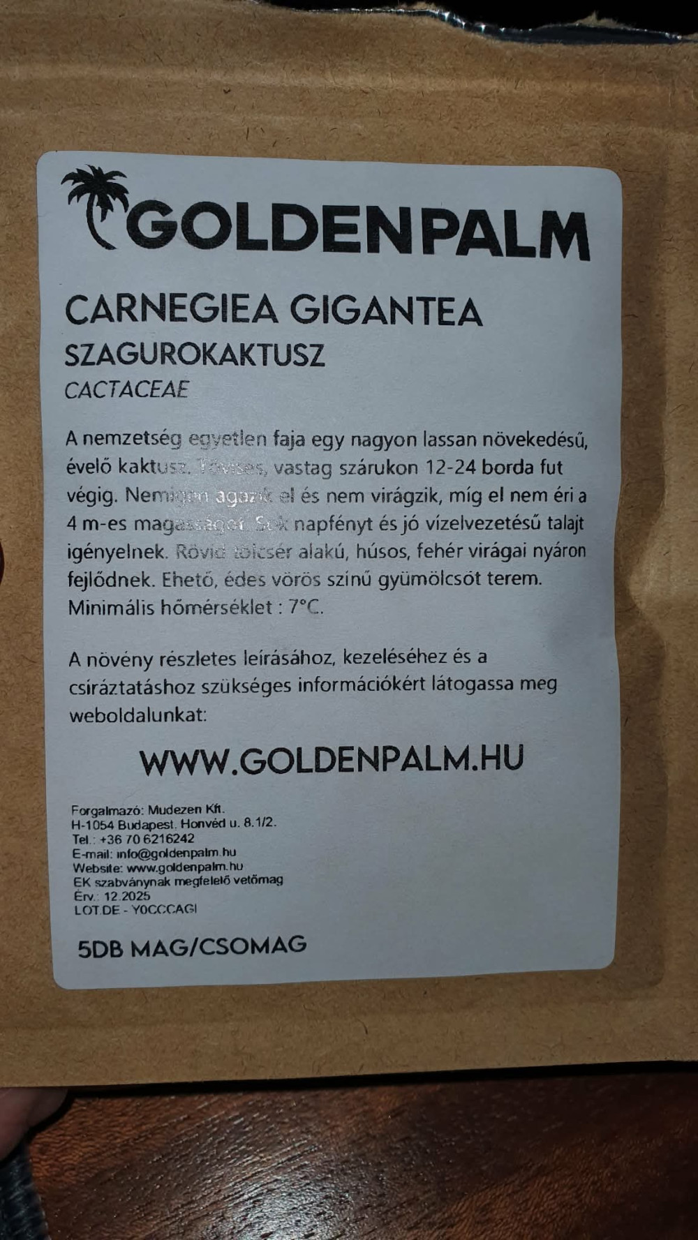 Szaguro kaktusz (Carnegiea gigantea) 5 szem